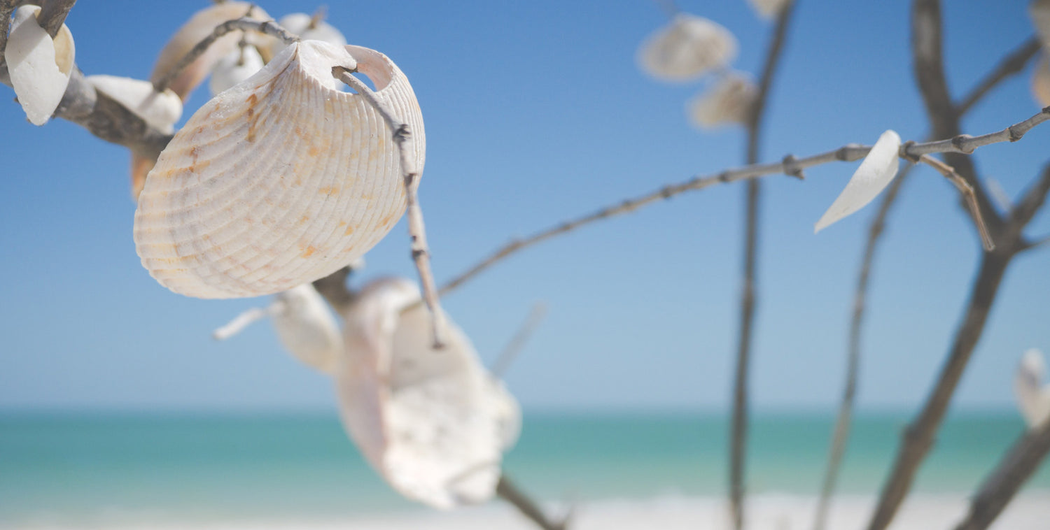 about beach dreaming